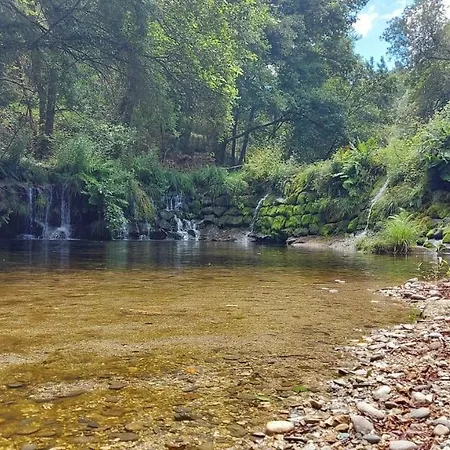 Apartamento Sítio Dos Cogumelos Alojamentos