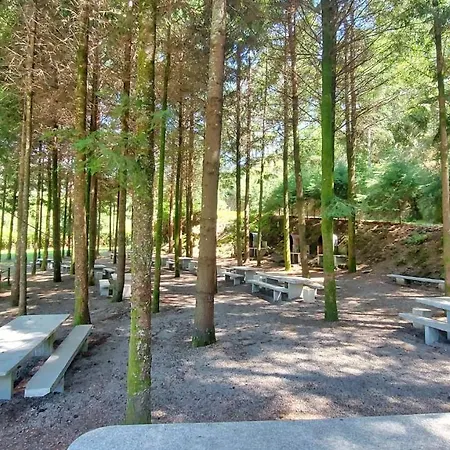 Sítio Dos Cogumelos Alojamentos Apartamento Amarante