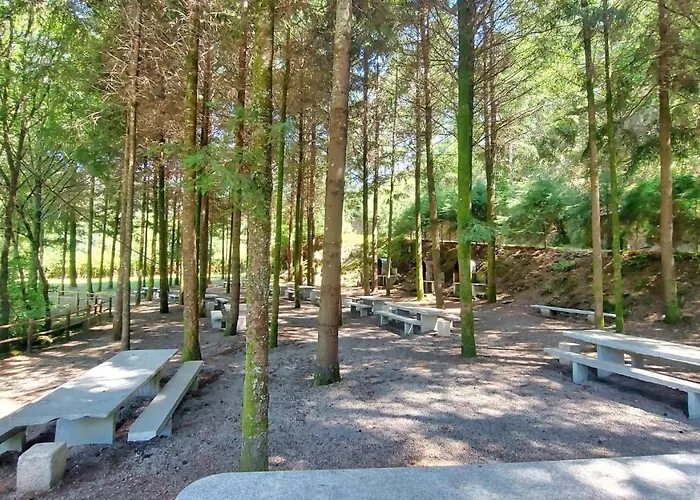 Sitio Dos Cogumelos Alojamentos Appartement Amarante